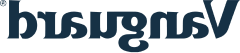 Vanguard client logo