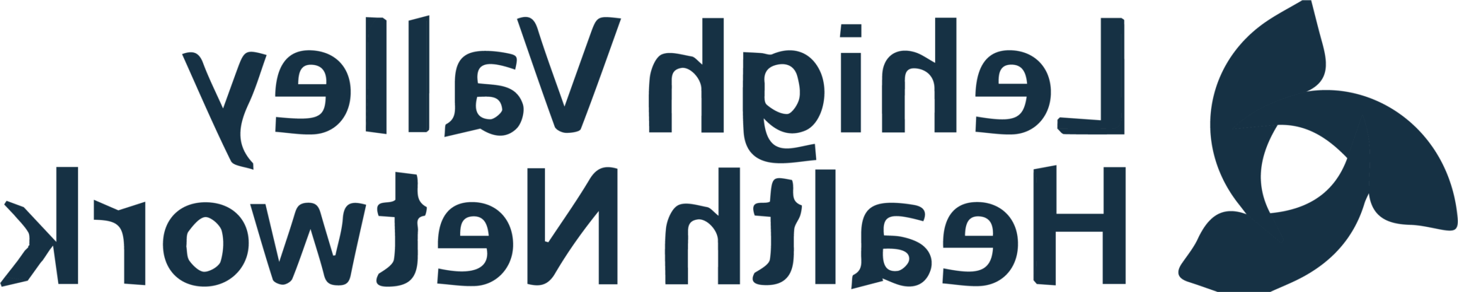 Client logo - Lehigh Valley Health Network